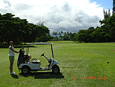 Big Island, Hilo, golf