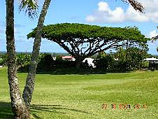 Big Island, Hilo, golf course