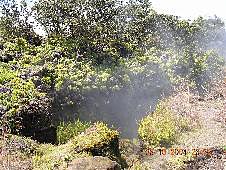 Big Island, Volcanoes National Park, steam vents