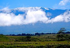 Big Island, Waimea, Parker Ranch
