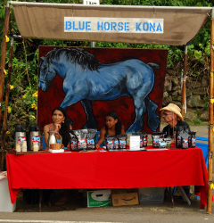 kona coffee, coffee and art stroll, big island vacation rentals