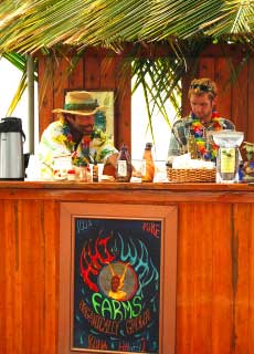 kona coffee, big island vacation rentals