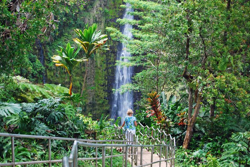 Akaka Falls State Park, Big Island of Hawaii